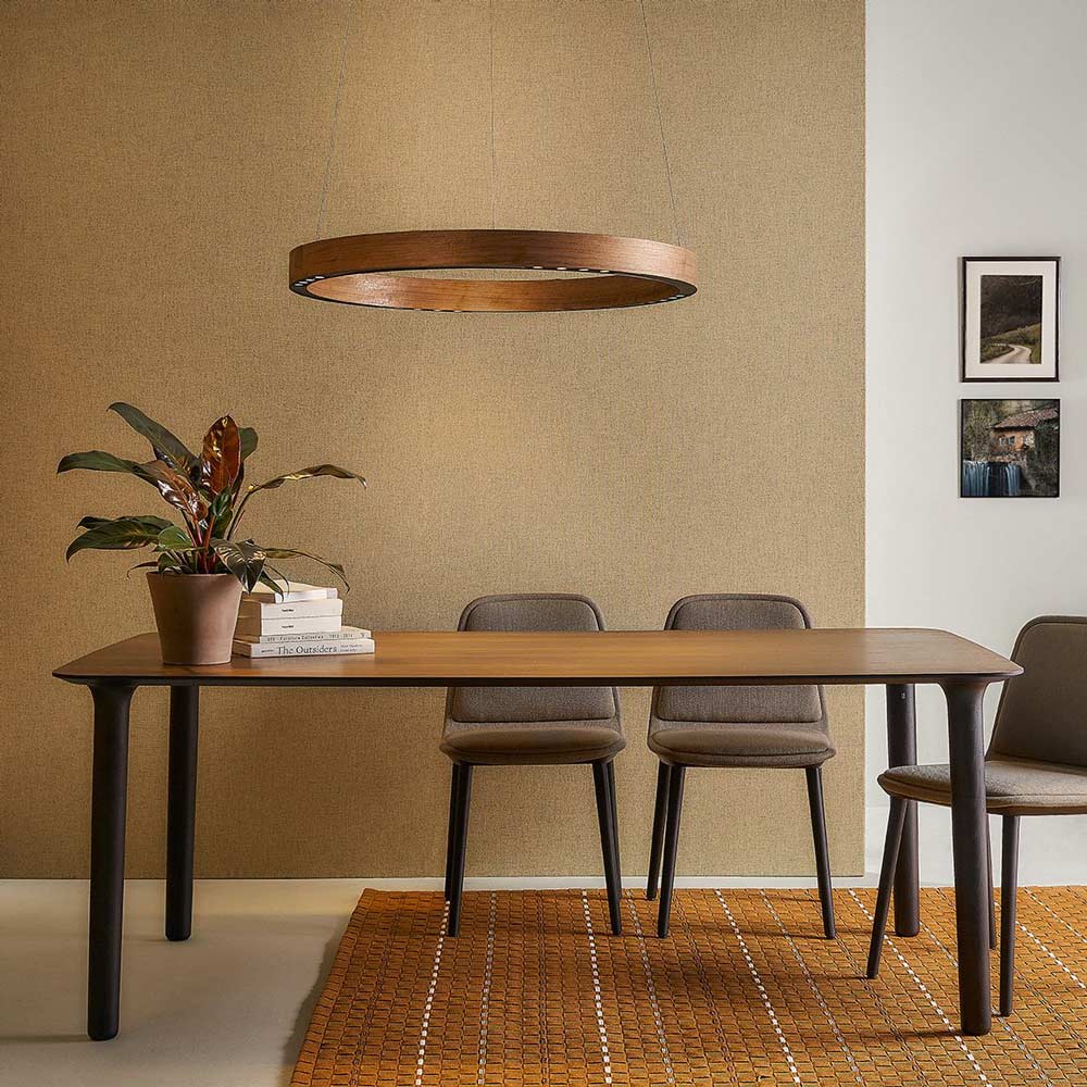 R2 S LED Pendant Light in living room.