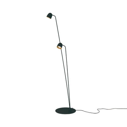 Speers LED Floor Lamp in Black/Brass.