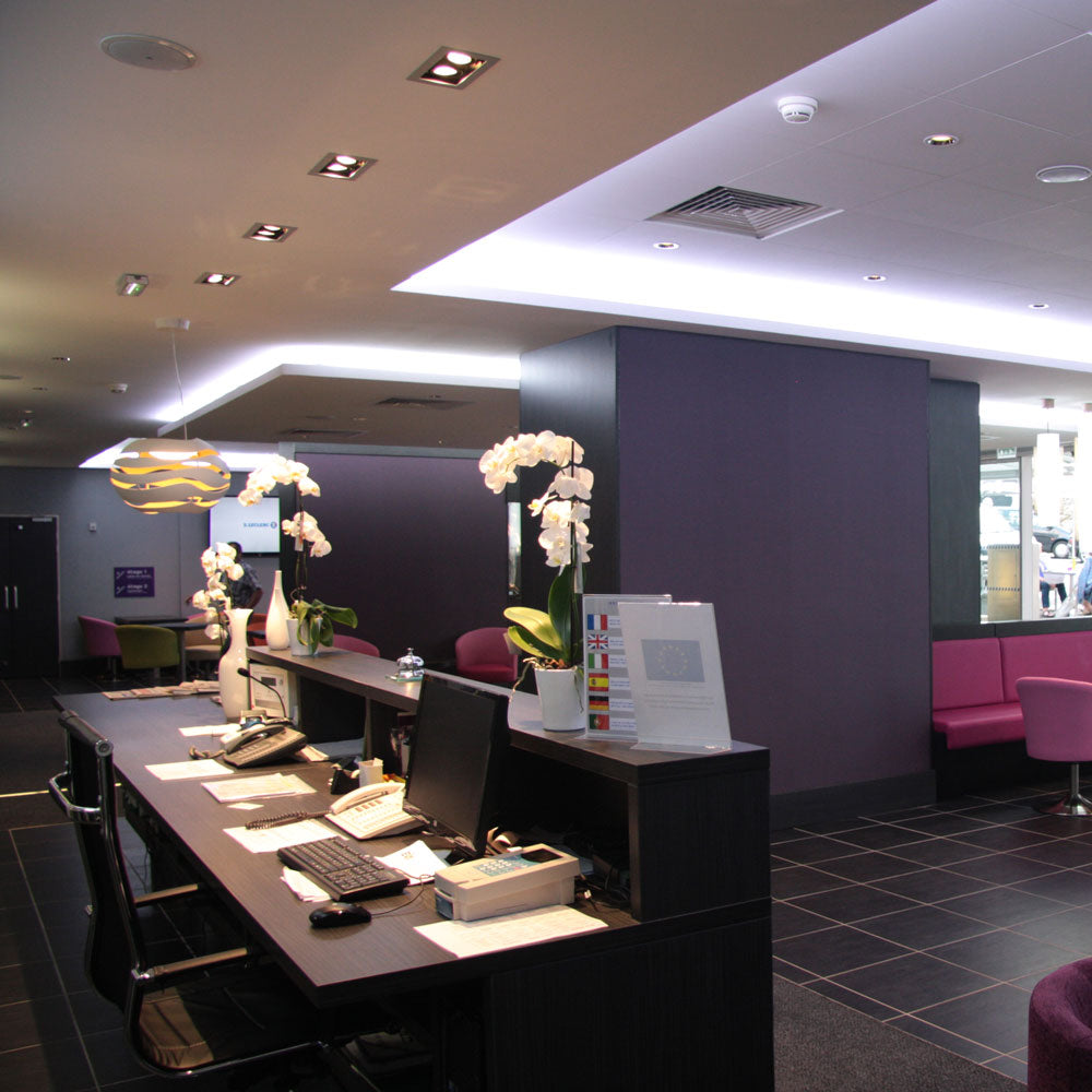 Tree Series S Pendant Light in restaurant.