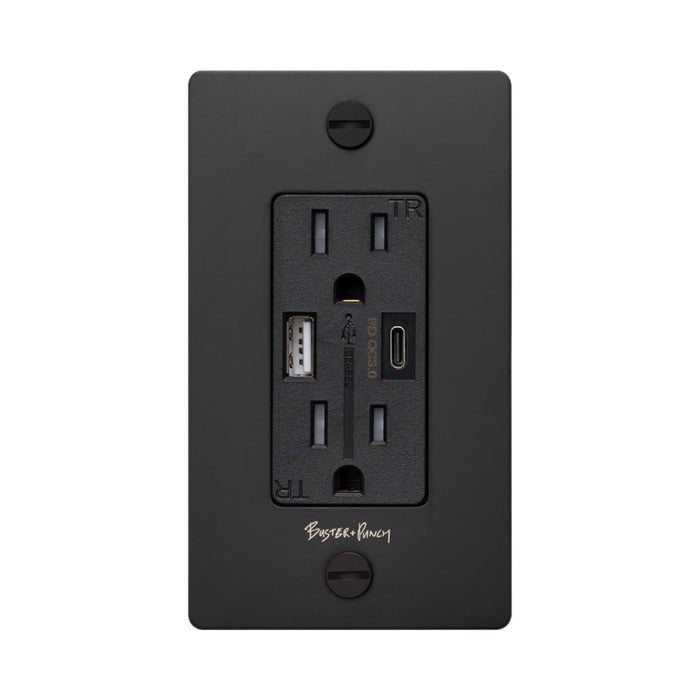 1G Combination Duplex Outlet with USB-A and USB-C Ports in Black (Logo).