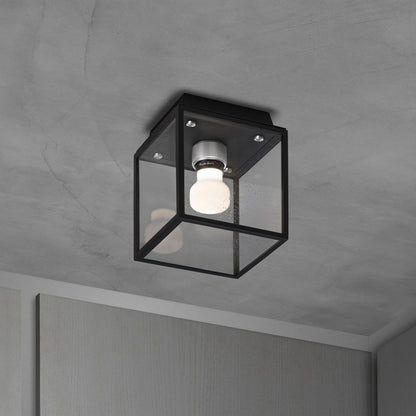 Caged Outdoor Flush Mount Ceiling Light in Black/Steel.