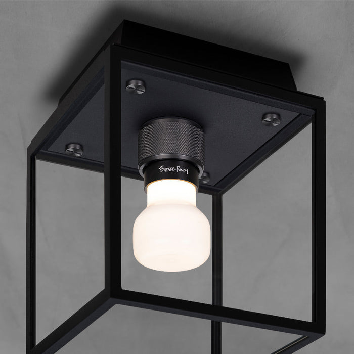 Caged Outdoor Flush Mount Ceiling Light in Detail.