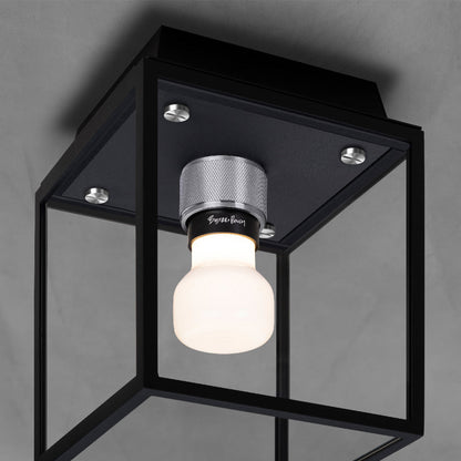 Caged Outdoor Flush Mount Ceiling Light in Detail.