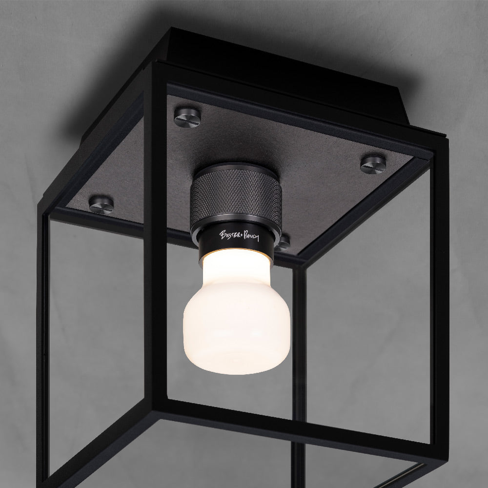 Caged Outdoor Flush Mount Ceiling Light in Detail.