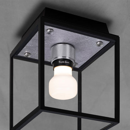 Caged Outdoor Flush Mount Ceiling Light in Detail.