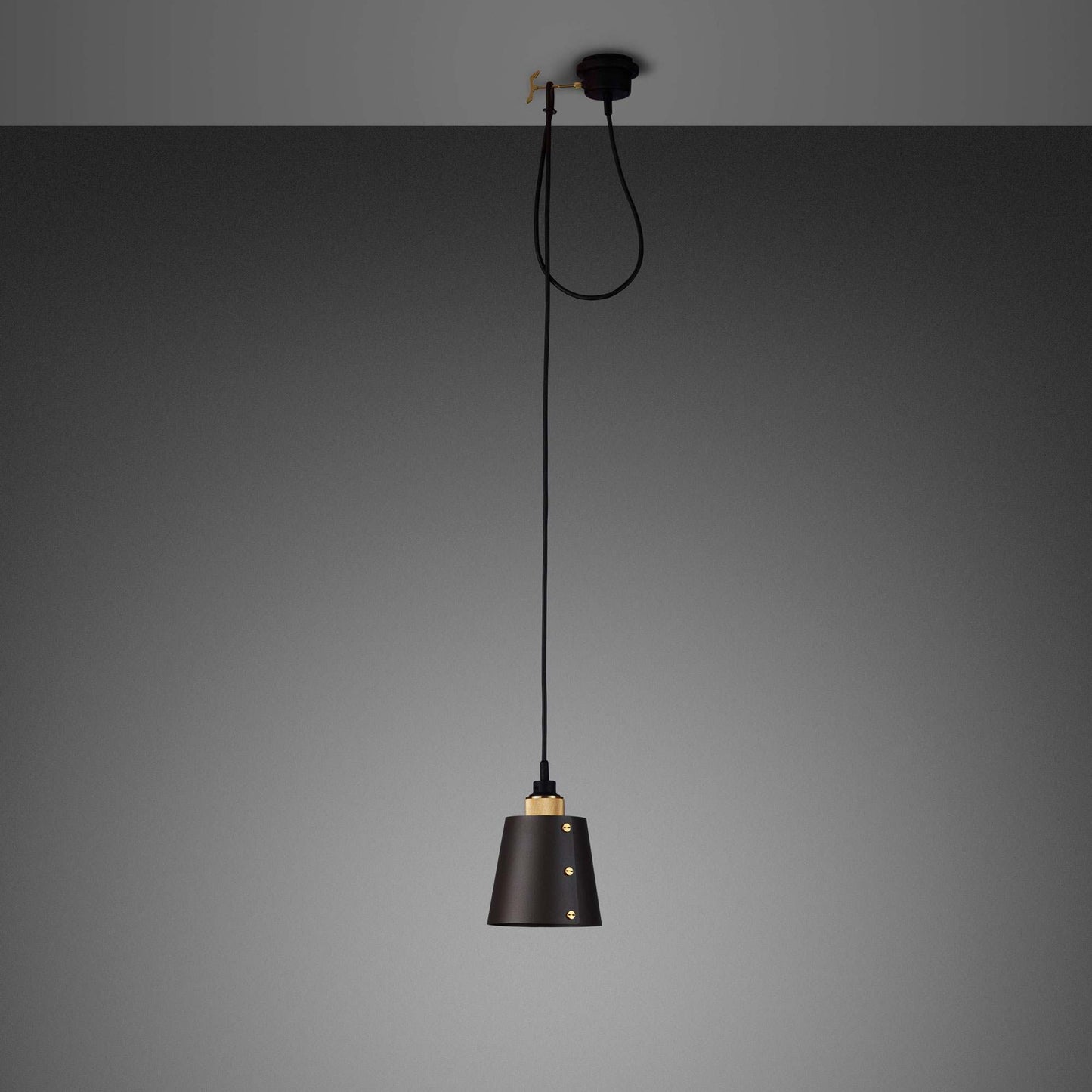 Hooked Pendant Light.