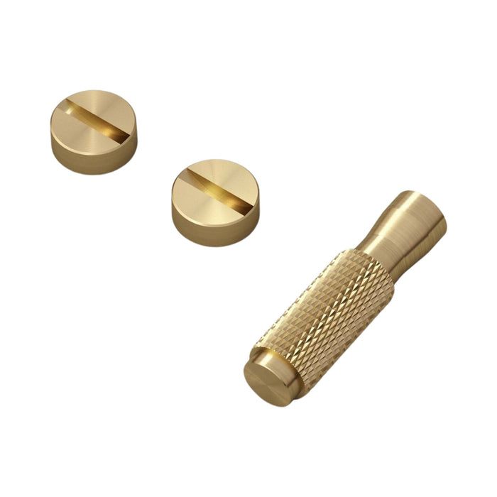 Toggle Detail Kit in Brass.