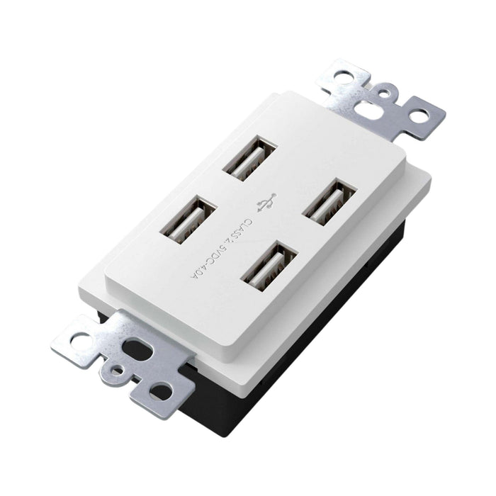 USB Outlet Module in White.