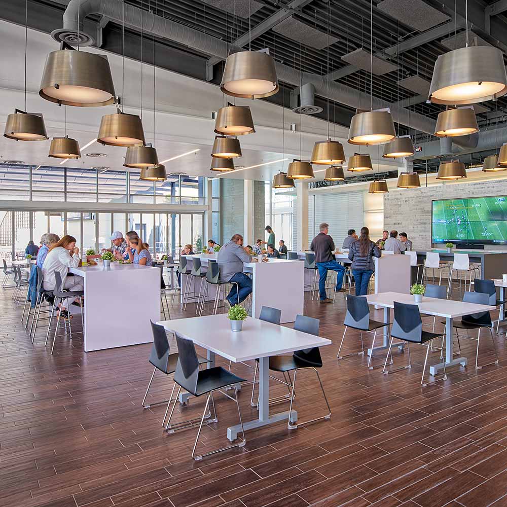 Ignis Pendant Light in office.