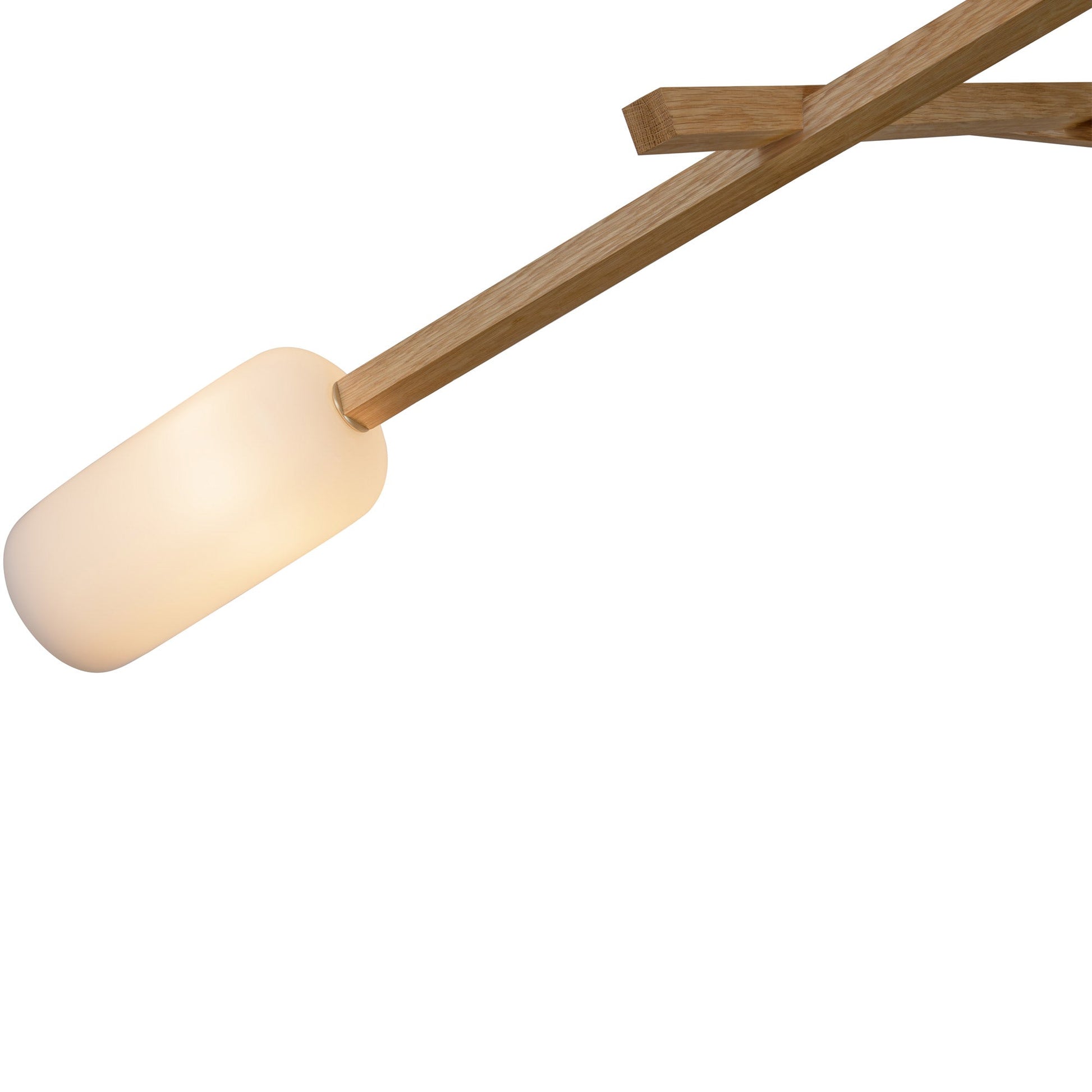 Locus Chandelier in Detail.