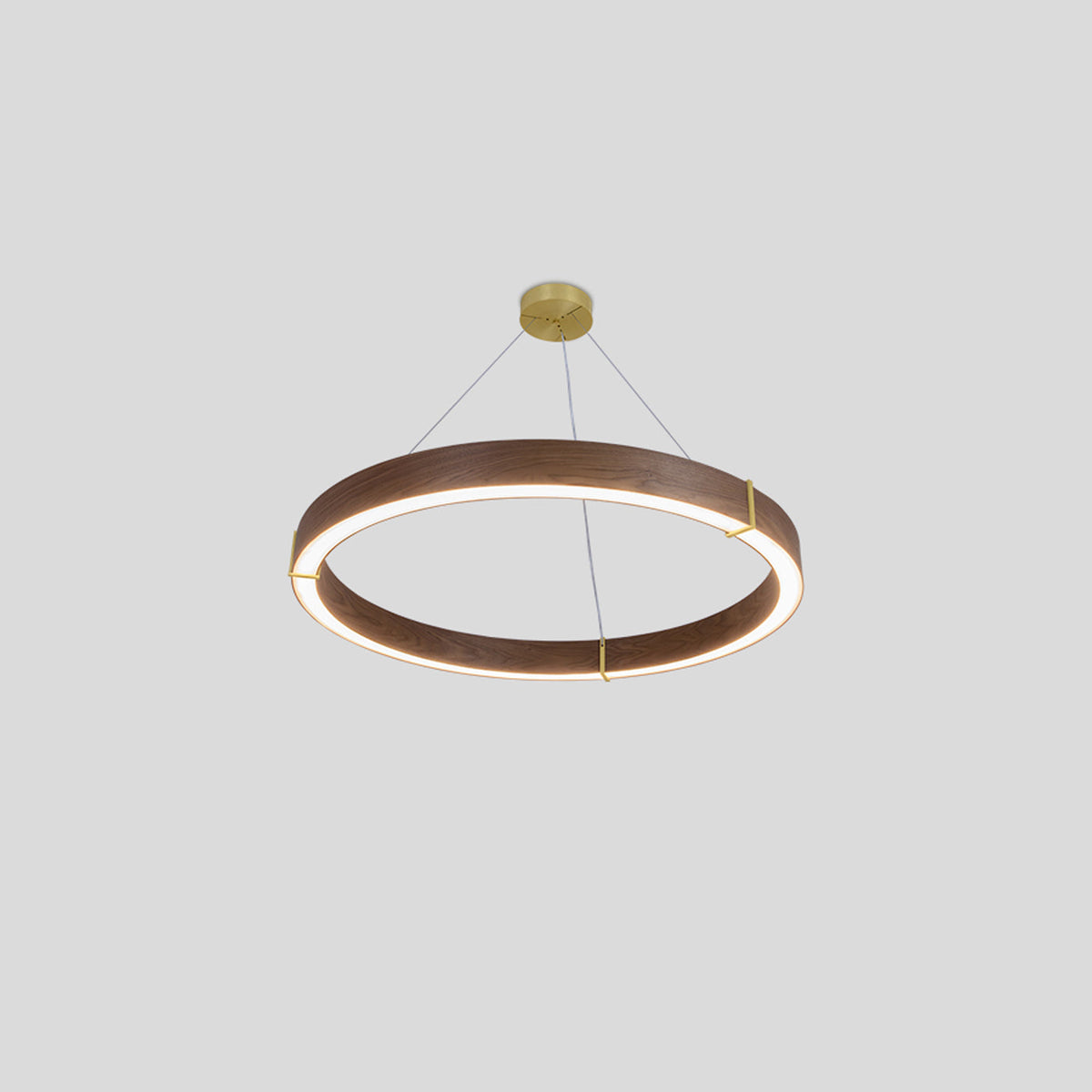 Redeo Pendant Light in Detail.
