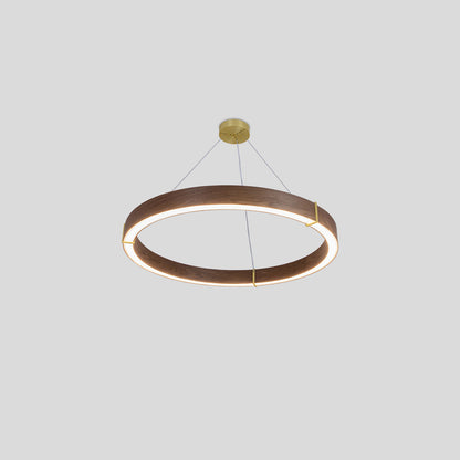 Redeo Pendant Light in Detail.