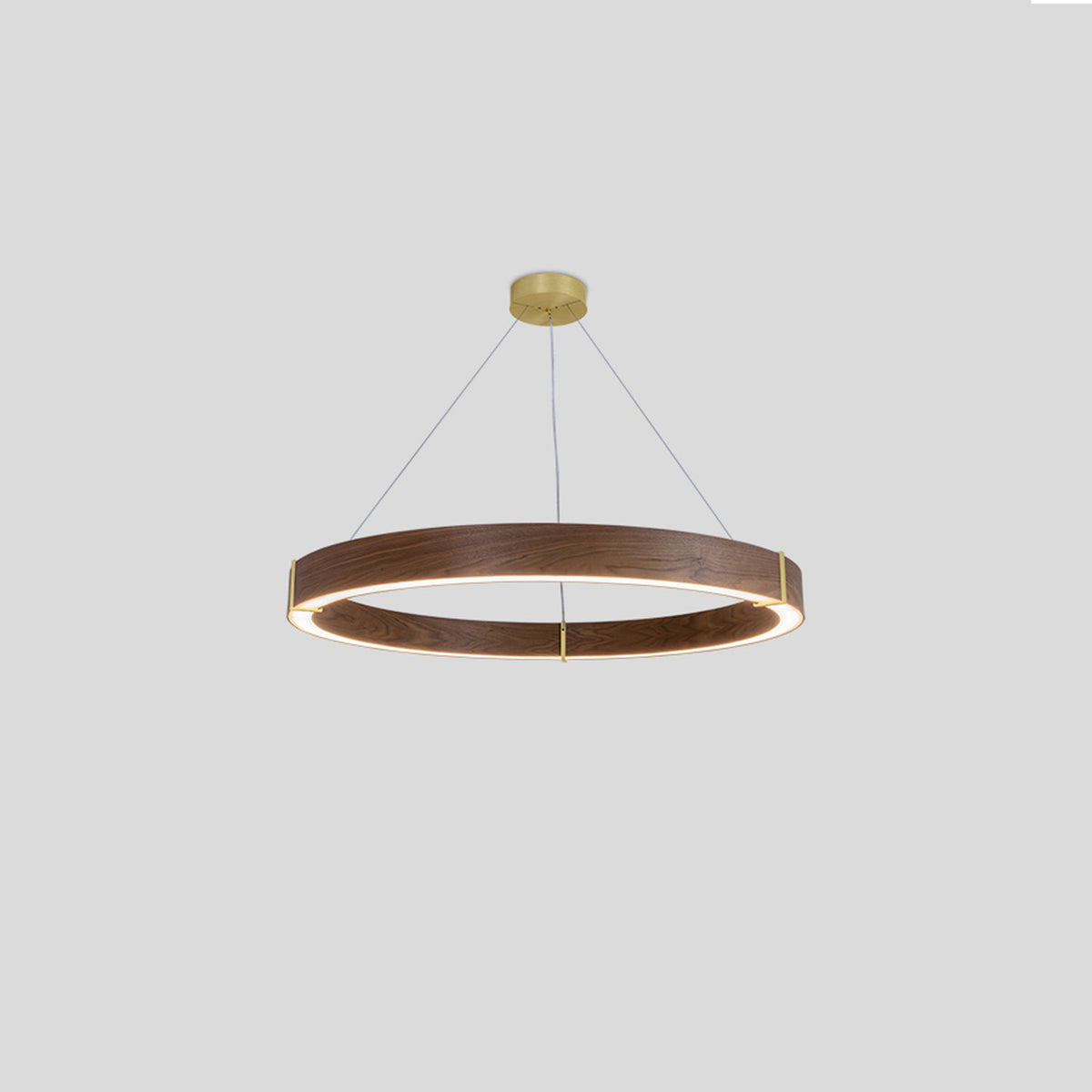 Redeo Pendant Light in Detail.