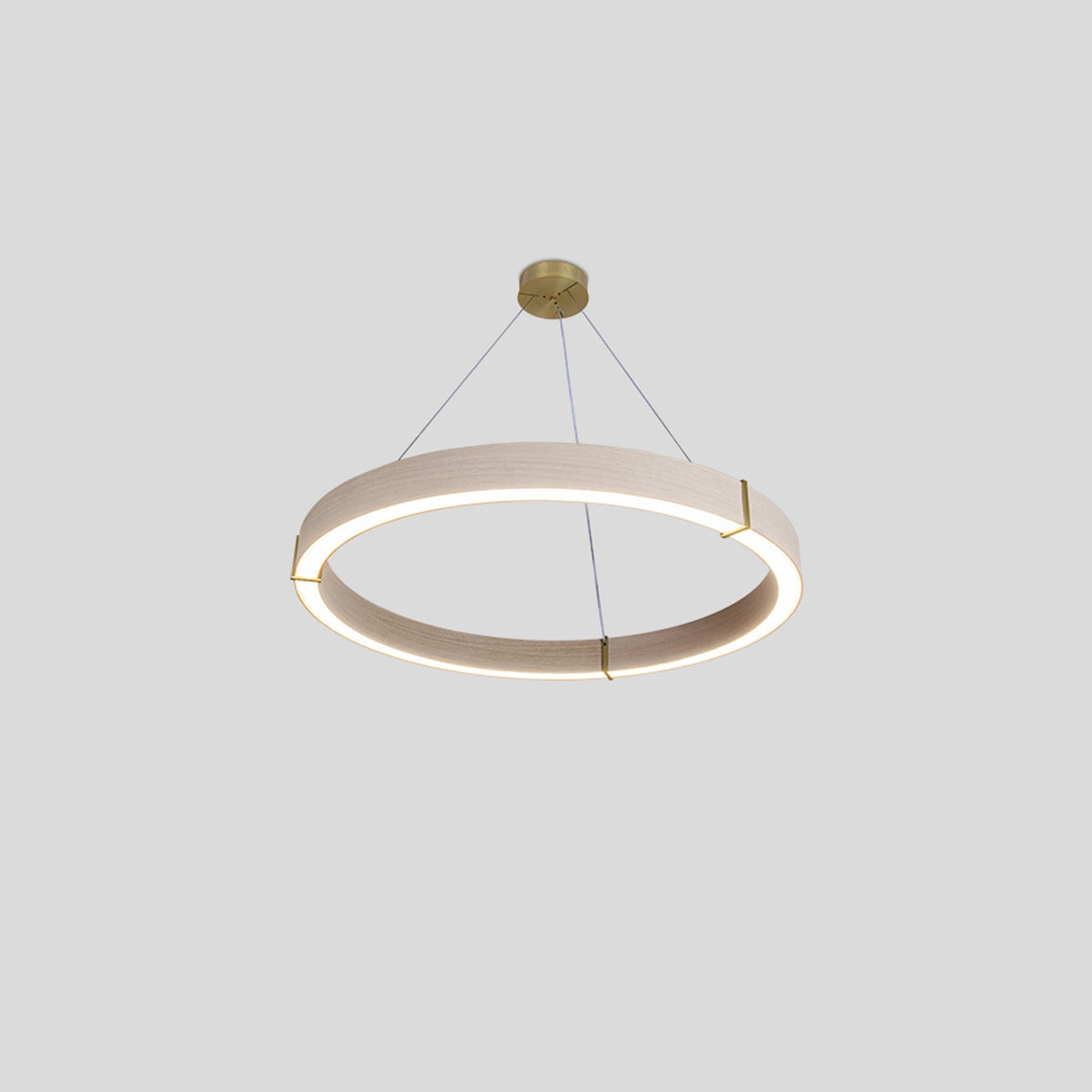 Redeo Pendant Light in Detail.