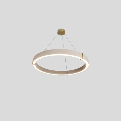 Redeo Pendant Light in Detail.