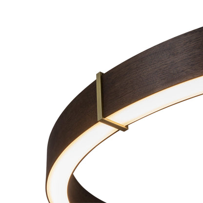 Redeo Pendant Light in Detail.