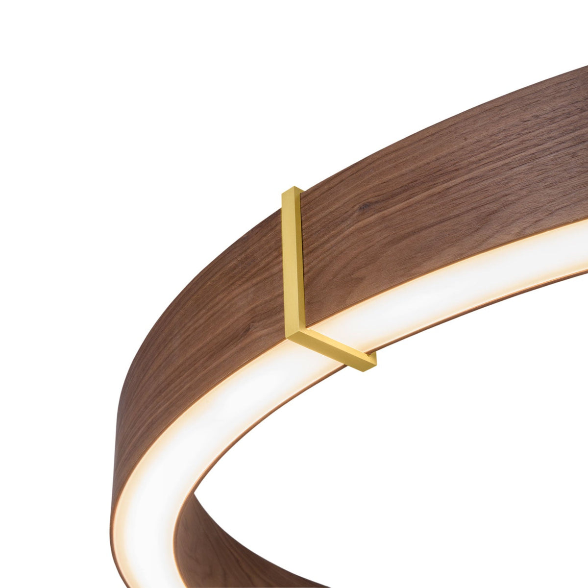 Redeo Pendant Light in Detail.
