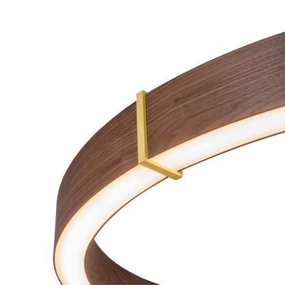 Redeo Pendant Light in Detail.