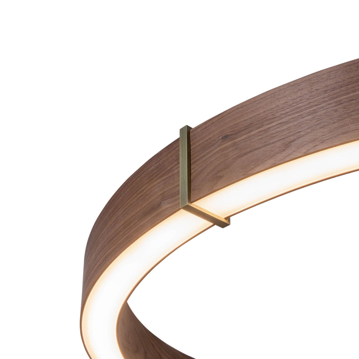 Redeo Pendant Light in Detail.