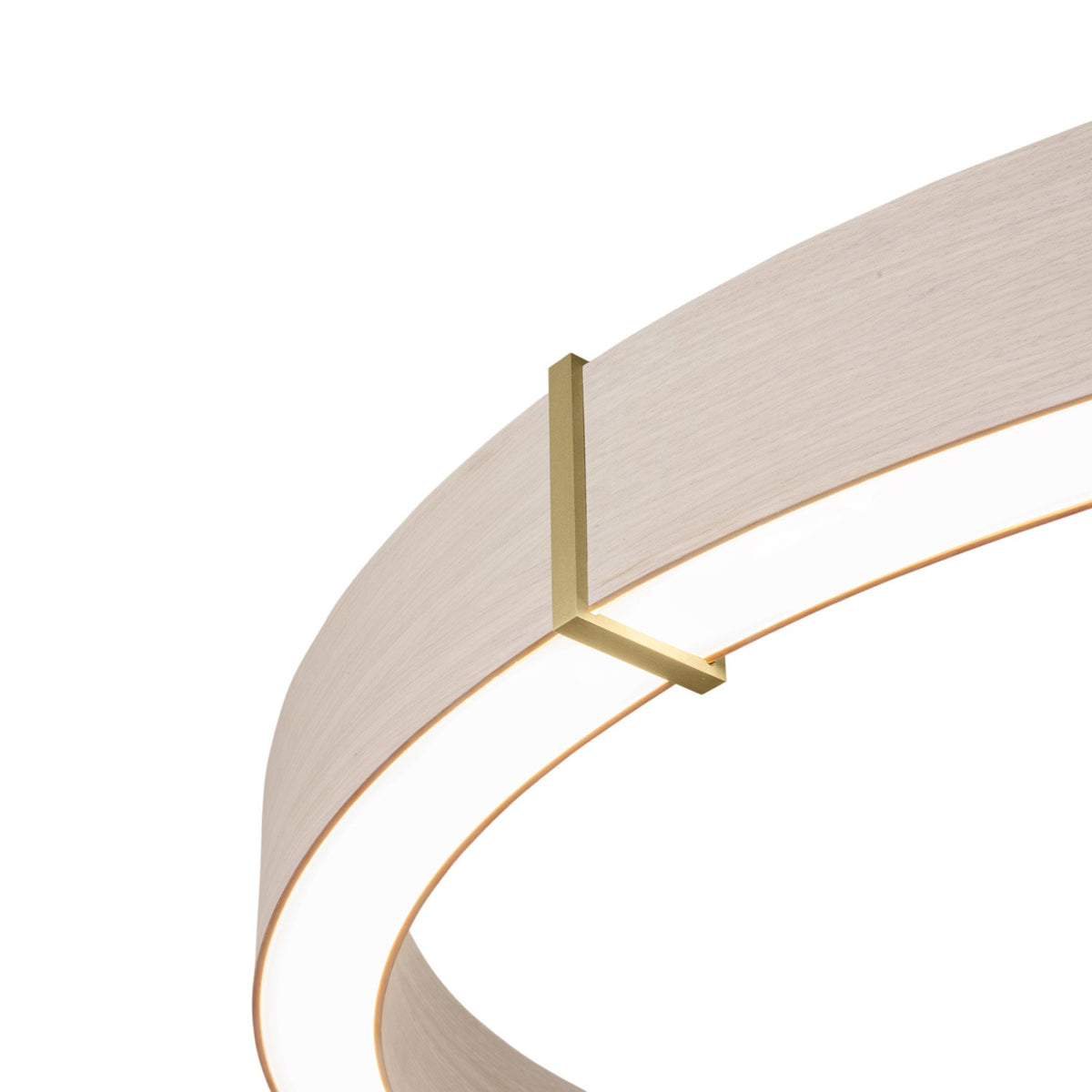 Redeo Pendant Light in Detail.