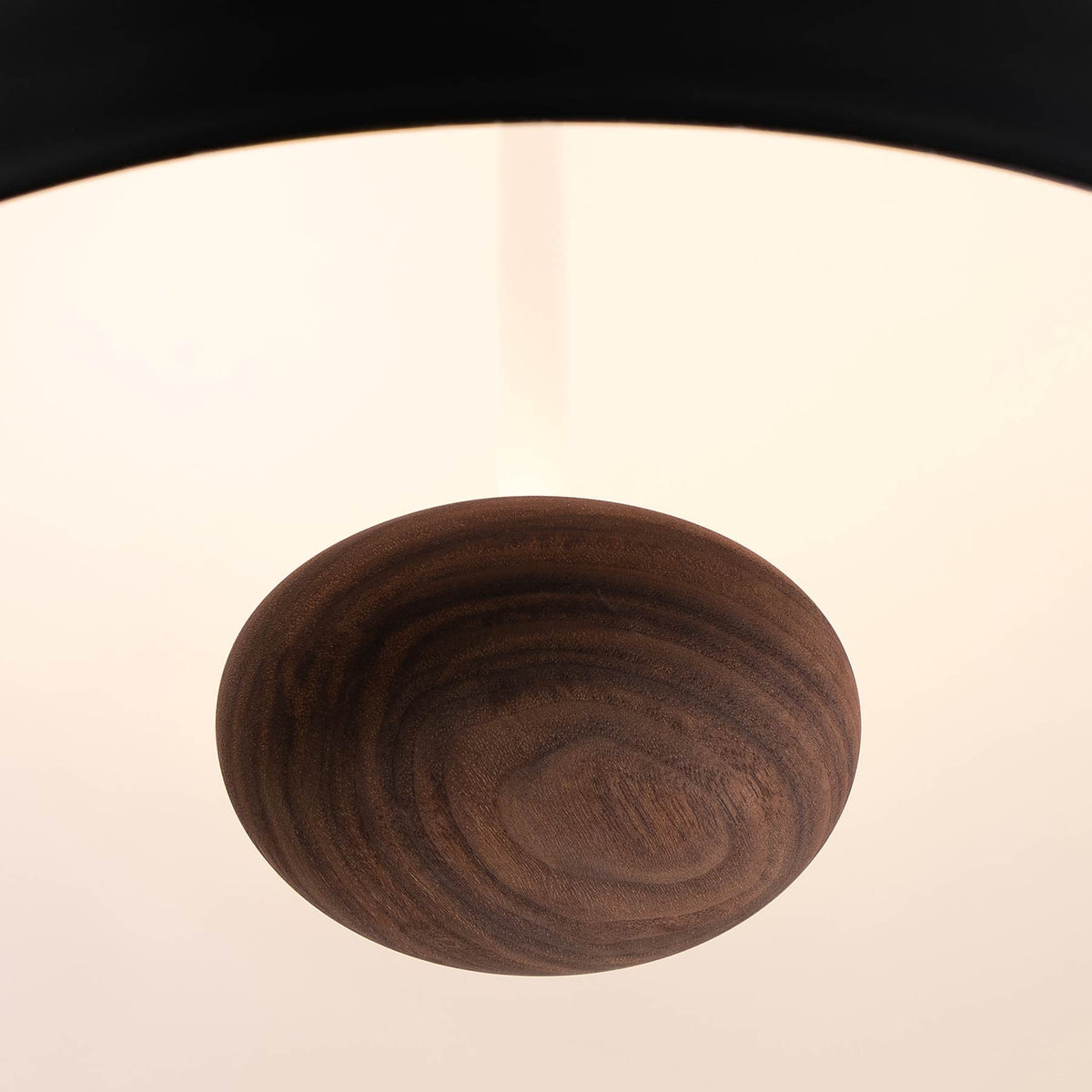 Stillo LED Pendant Light in Detail.
