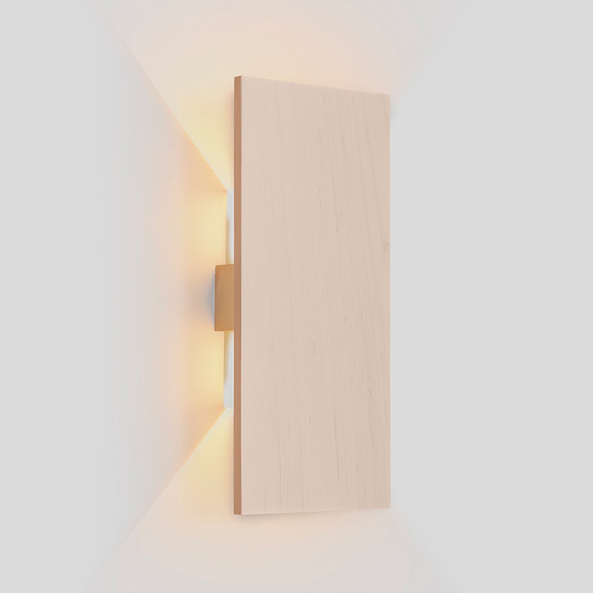 Tersus L LED Wall Light in Detail.