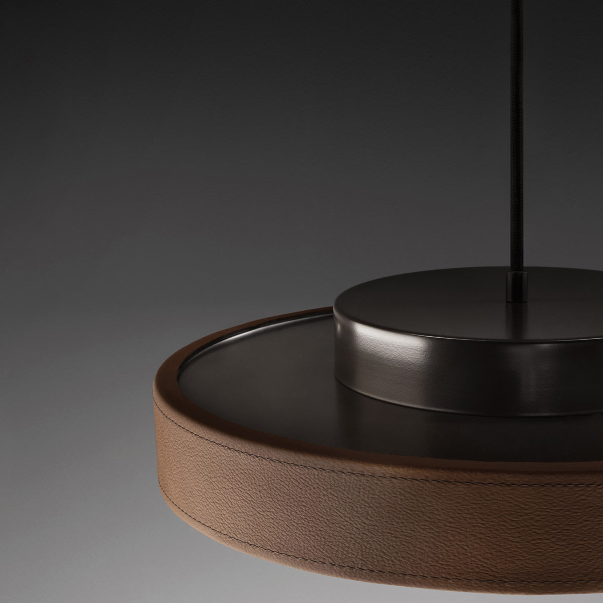 Discus LED Pendant Light in Detail.