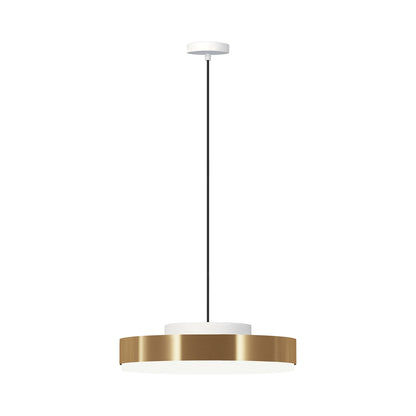 Discus LED Pendant Light in Matt White/Satin Brass (Large).