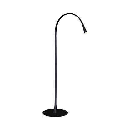 Flexiled LED Floor Lamp.