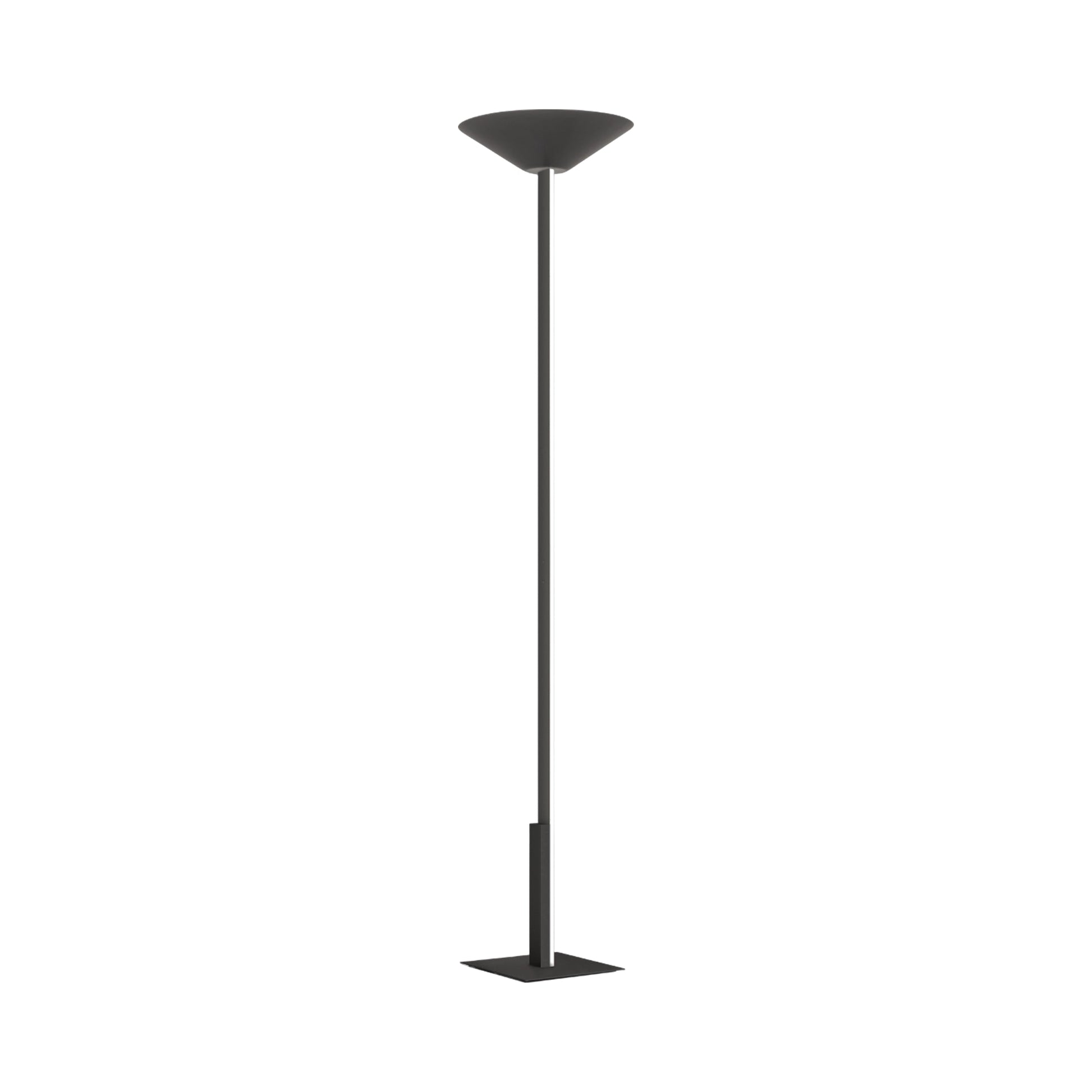Fly LED Torch Floor Lamp.