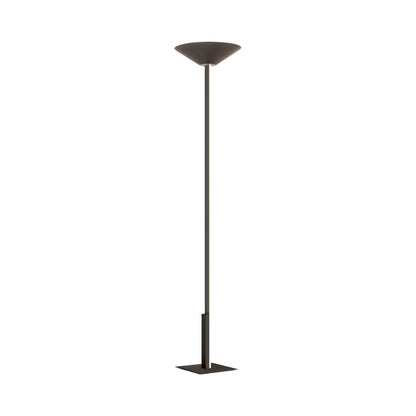 Fly LED Torch Floor Lamp in Brushed Bronze Nickel.