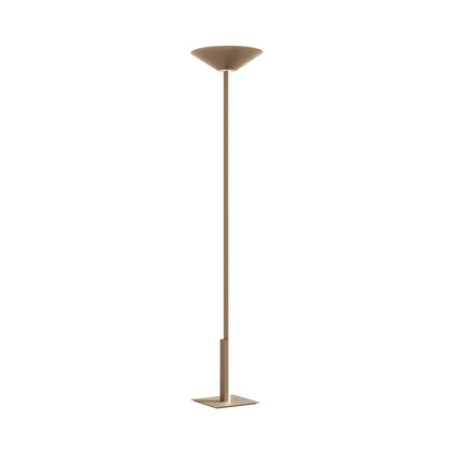 Fly LED Torch Floor Lamp in Satin Golden Nickel.