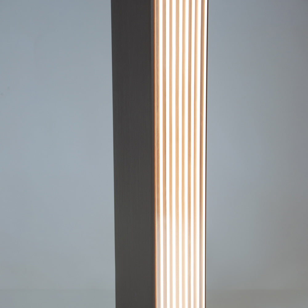 Stick LED Floor Lamp in Detail.