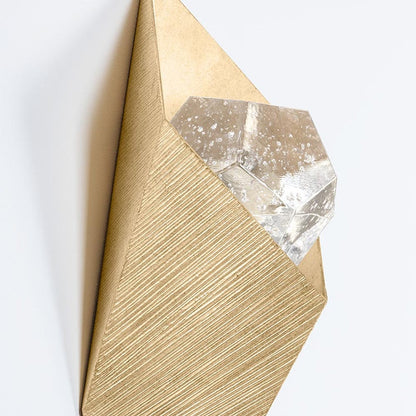 Conch LED Wall Light in Detail.