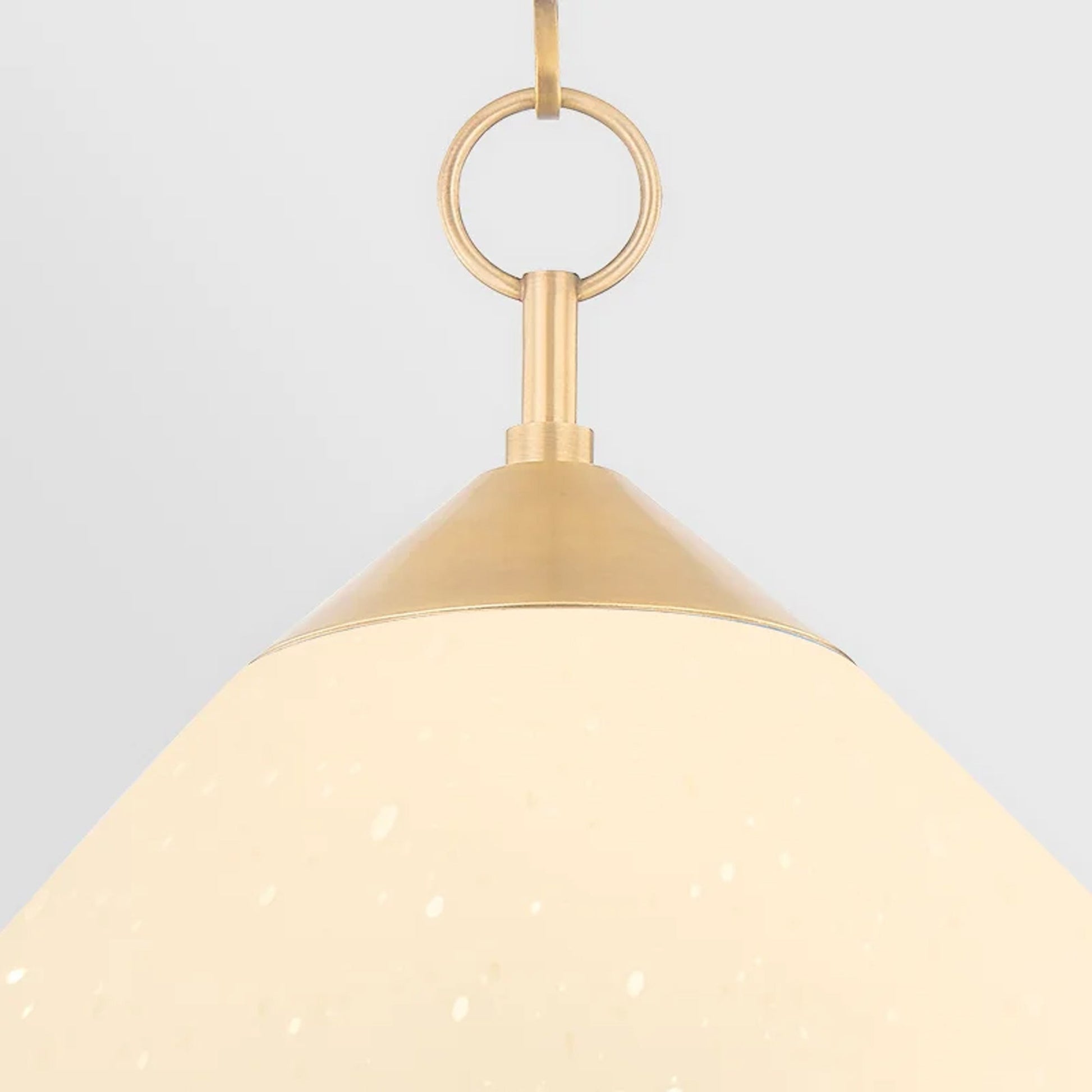 Semilla Pendant Light in Detail.