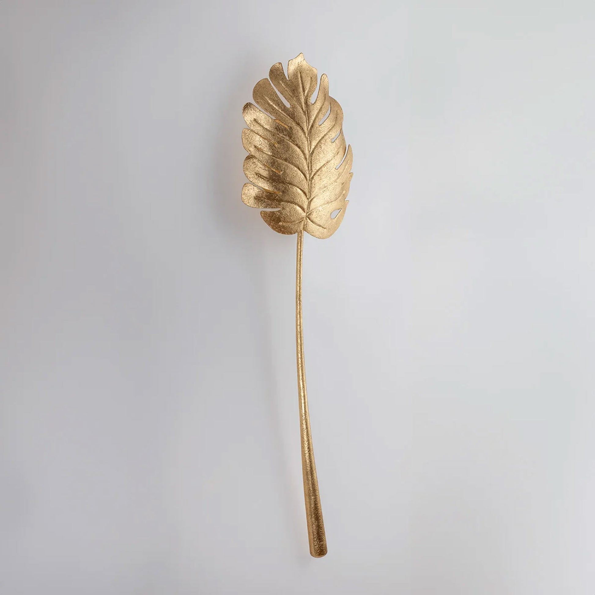 Seychelles Wall Light in Detail.