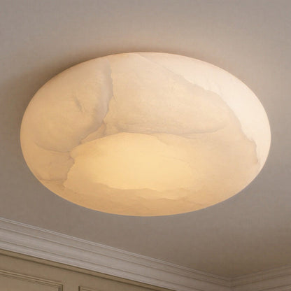 Acme LED Flush Mount Ceiling Light in Detail.