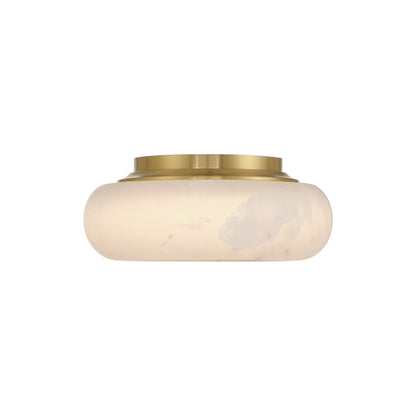 Acme LED Flush Mount Ceiling Light in Detail.