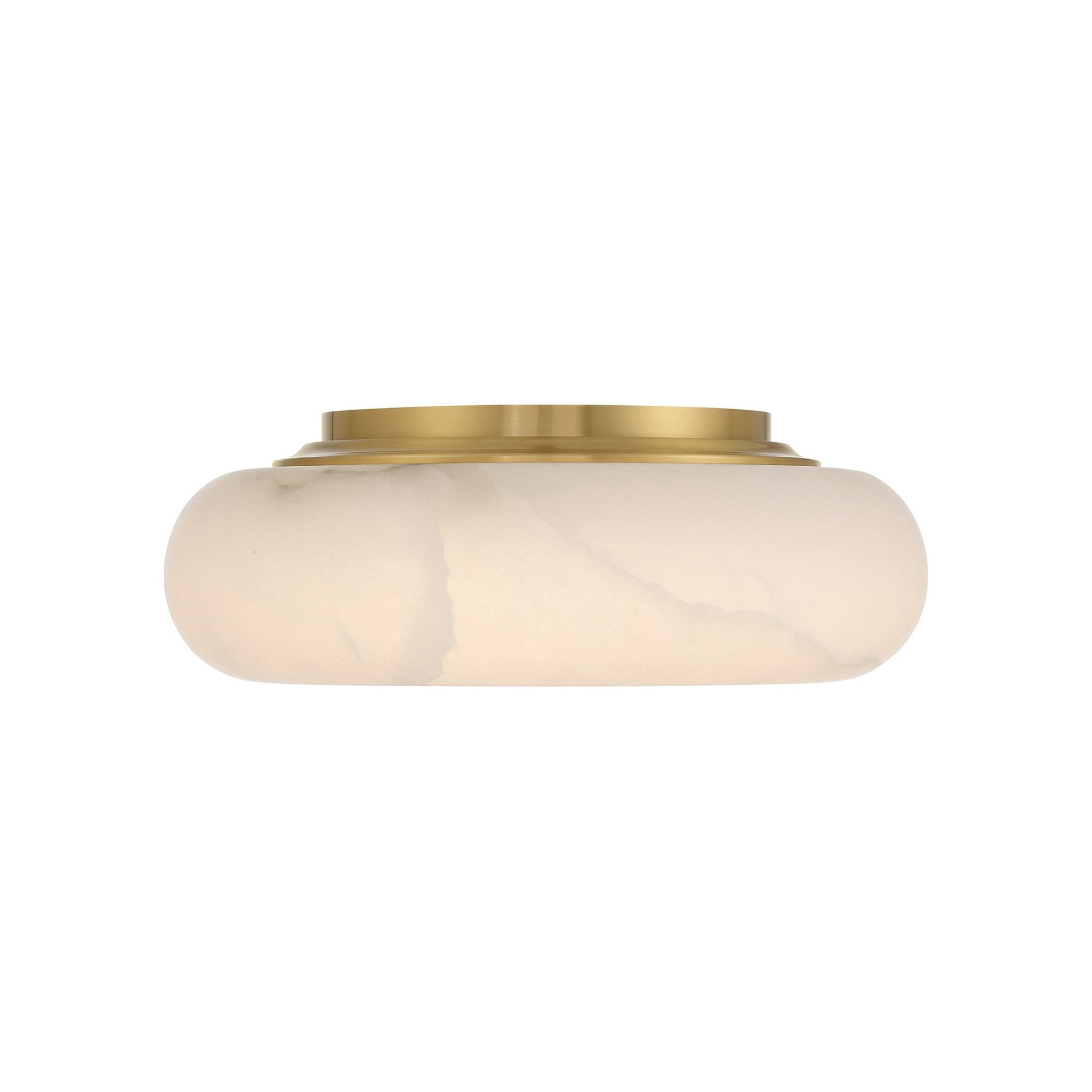 Acme LED Flush Mount Ceiling Light in Detail.