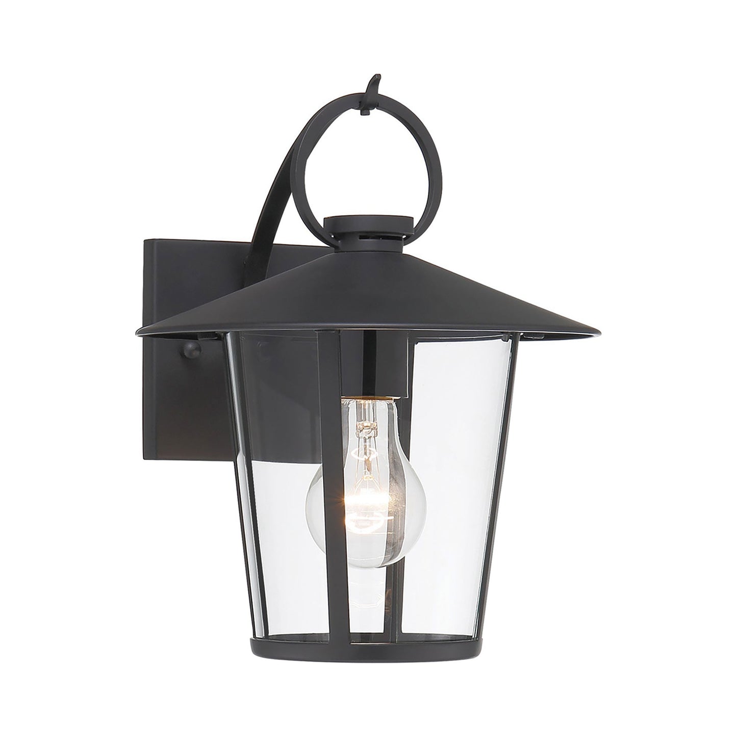 Andover Outdoor Wall Light (1-Light/Clear).
