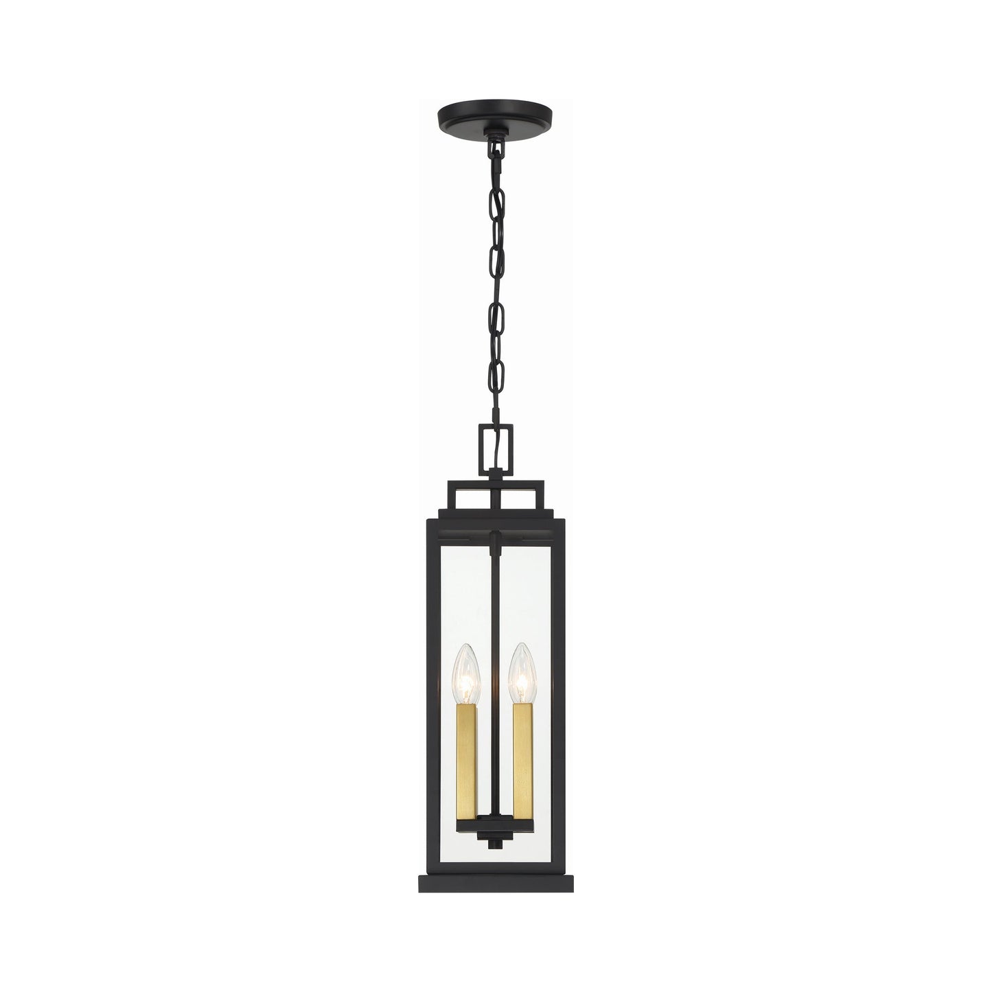 Aspen Outdoor Pendant Light in Detail.