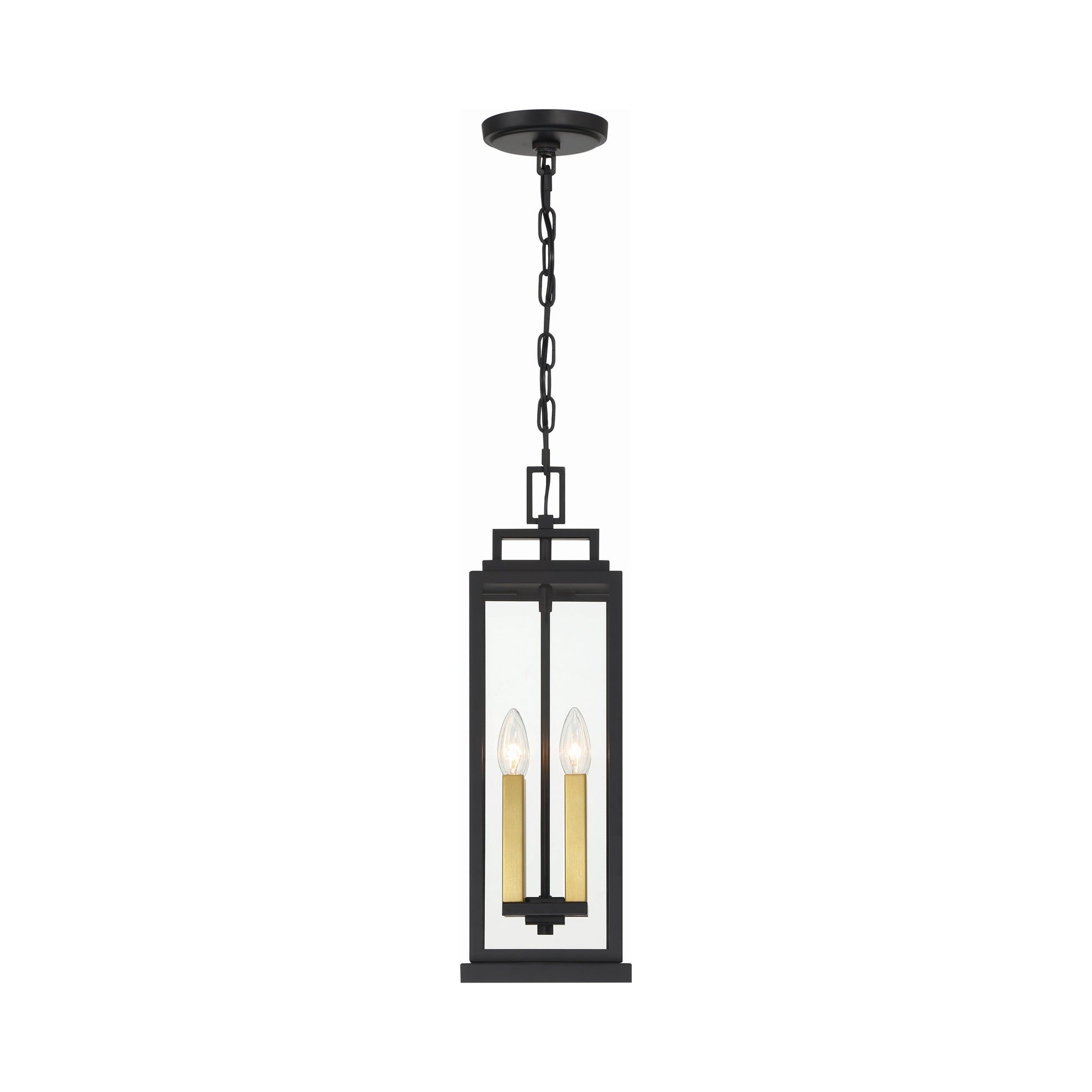 Aspen Outdoor Pendant Light in Detail.