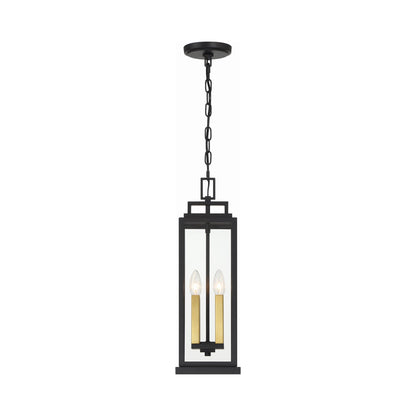 Aspen Outdoor Pendant Light in Detail.
