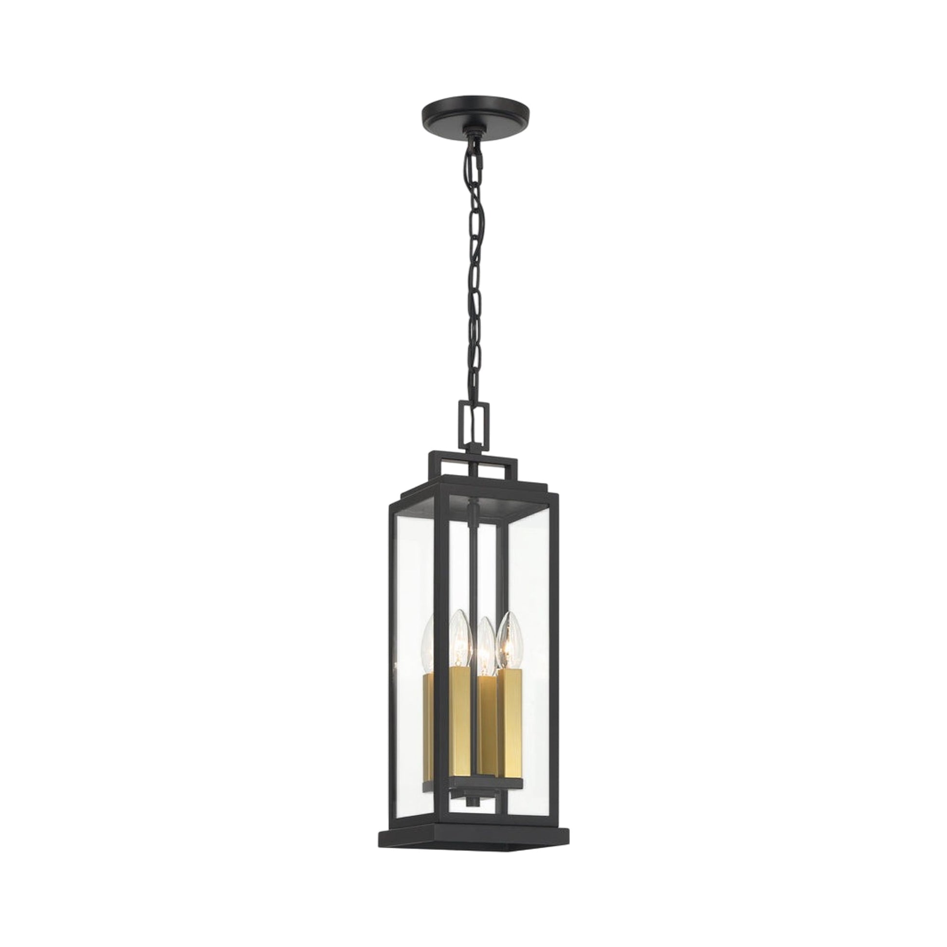 Aspen Outdoor Pendant Light in Detail.