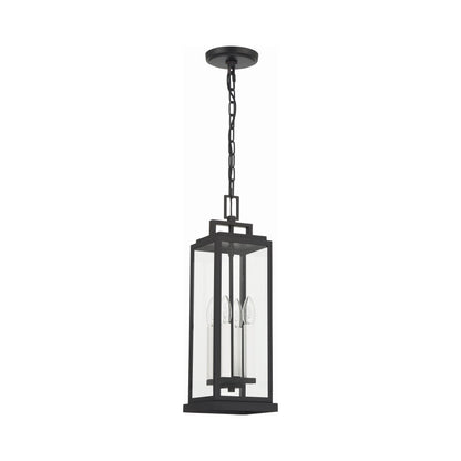 Aspen Outdoor Pendant Light in Detail.