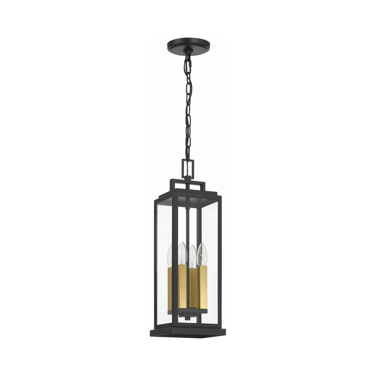 Aspen Outdoor Pendant Light in Detail.