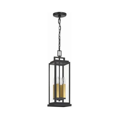 Aspen Outdoor Pendant Light in Detail.