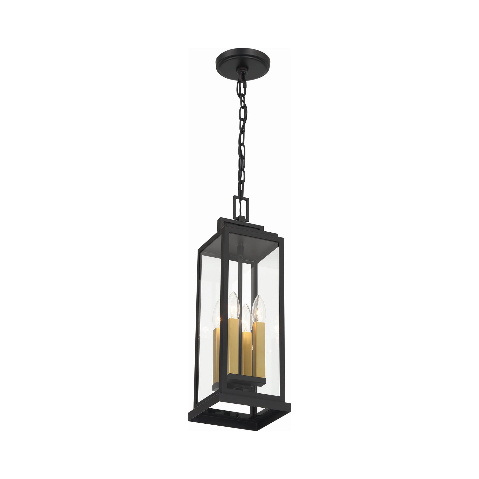 Aspen Outdoor Pendant Light in Detail.