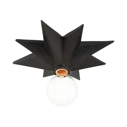 Astro Flush Mount Ceiling Light.