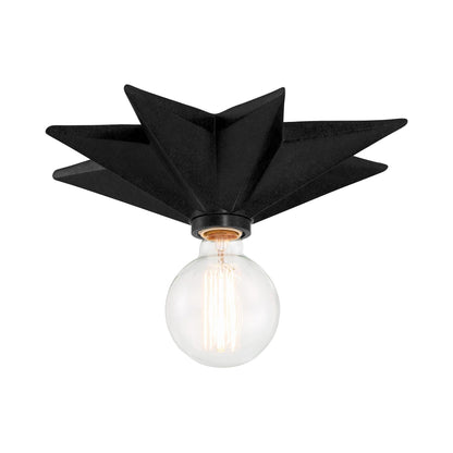 Astro Flush Mount Ceiling Light in Detail.